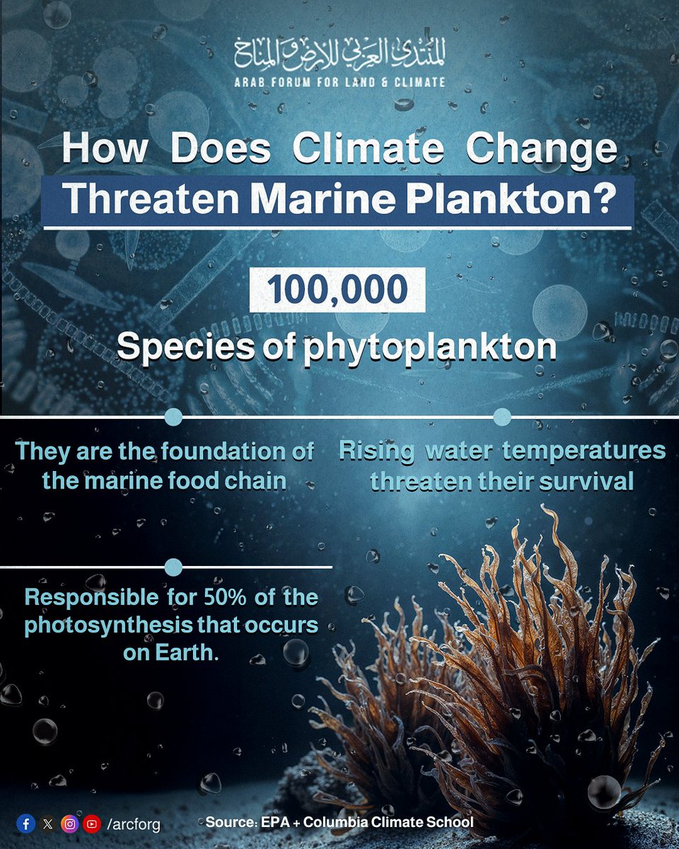 arcforg's tweet photo. Climate change-induced rising water temperatures pose a huge threat to phytoplankton species, which play a pivotal role in maintaining the balance of marine life.
#ALCForum
#OurLandOurFuture
#Life_Below_Water https://t.co/ZCmNYtyj87