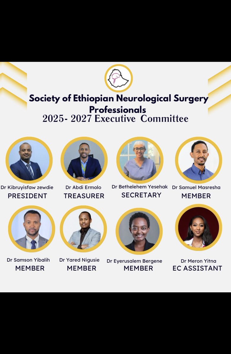 Introducing the 2025–2027 Executive Committee of the Society of Ethiopian Neurological Surgery Professionals