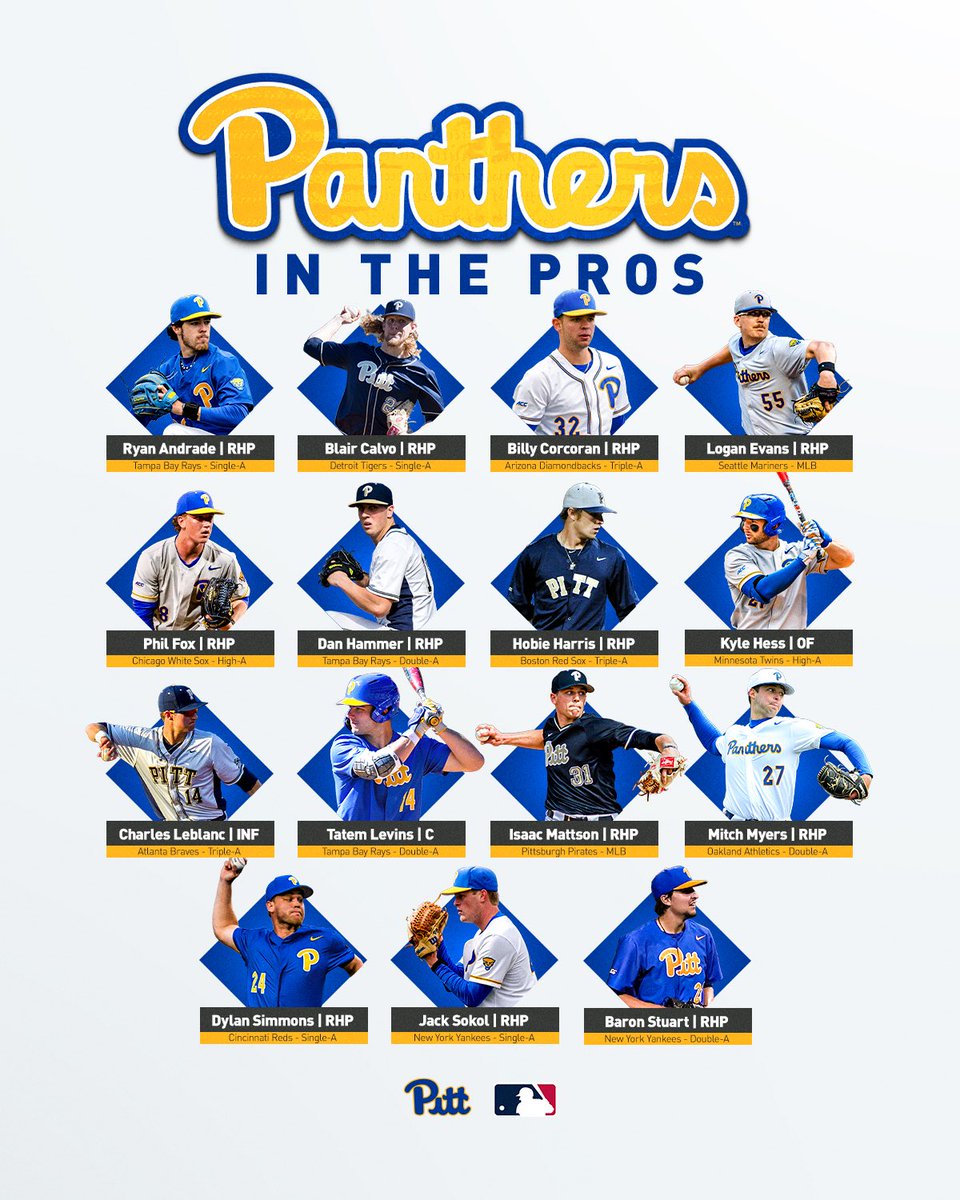 Our Panthers in the Pros 😼

1️⃣5️⃣ Panthers → 1️⃣2️⃣ MLB organizations

🔗 bit.ly/4mUR1yV

#H2P » #ProPanthers