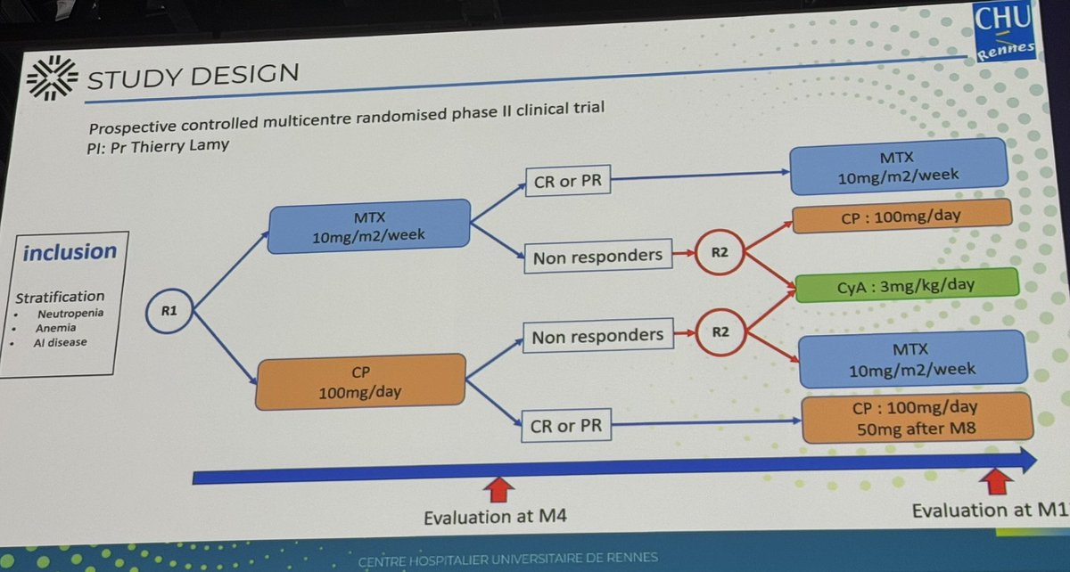calliecoombsmd's tweet image. This was an amazing effort and practice changing study for LGL leukemia - cyclophosphamide is superior to MTX with respect to ORR with comparable safety - took 10 years to accrue but shows can do RCT in rare hem diseases #EHA25 #EHA2025