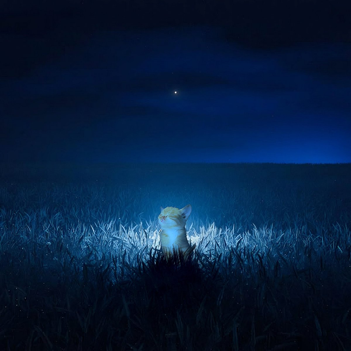 you see darkness

he sees opportunity