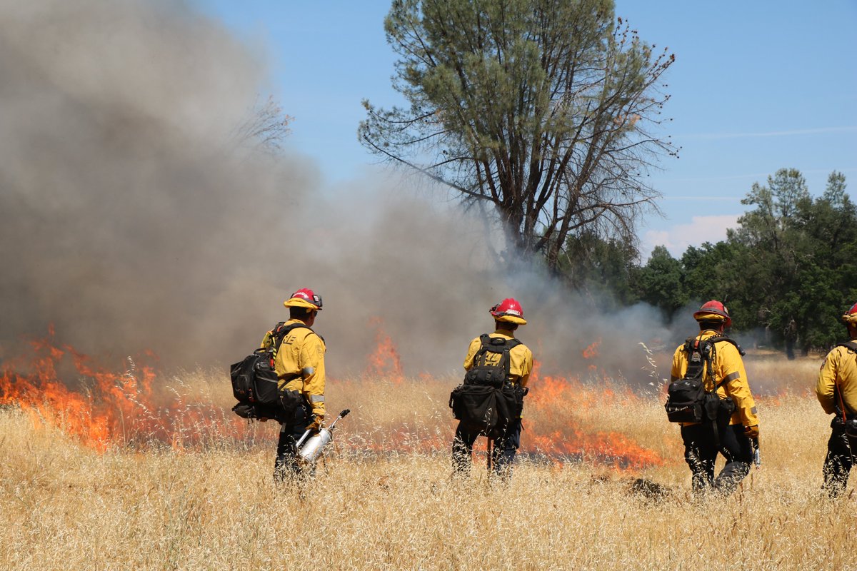 CAL FIRE Shasta-Trinity Unit/Shasta County FD tweet media