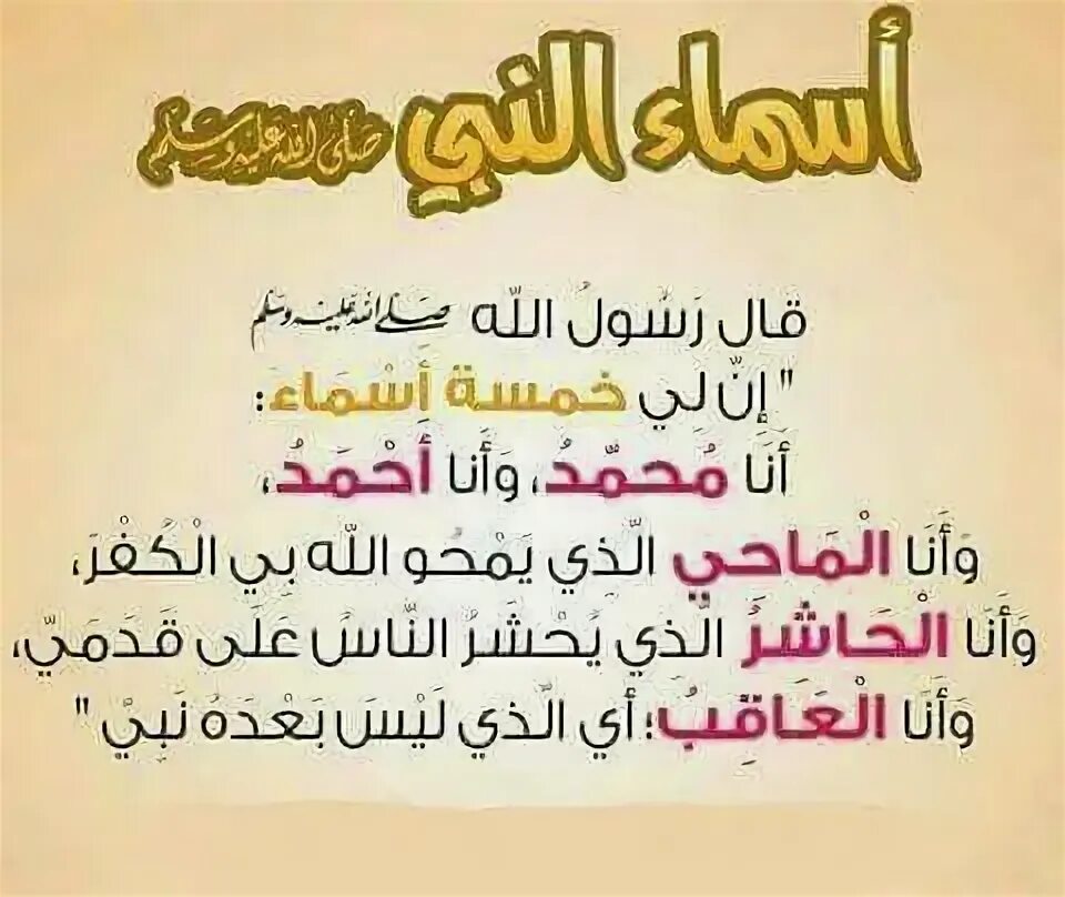 مسلم العويلي (@muslimtam) on Twitter photo 