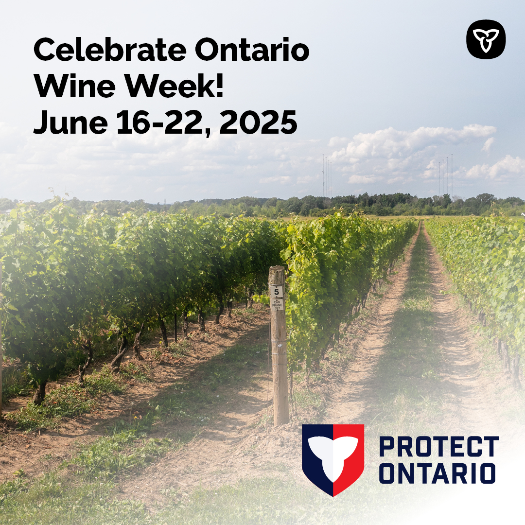Did you know that when you buy Ontario wine, you’re supporting local communities and jobs? Help protect our economy and our wine and grape industry by choosing Ontario wine this #ONWineWeek.