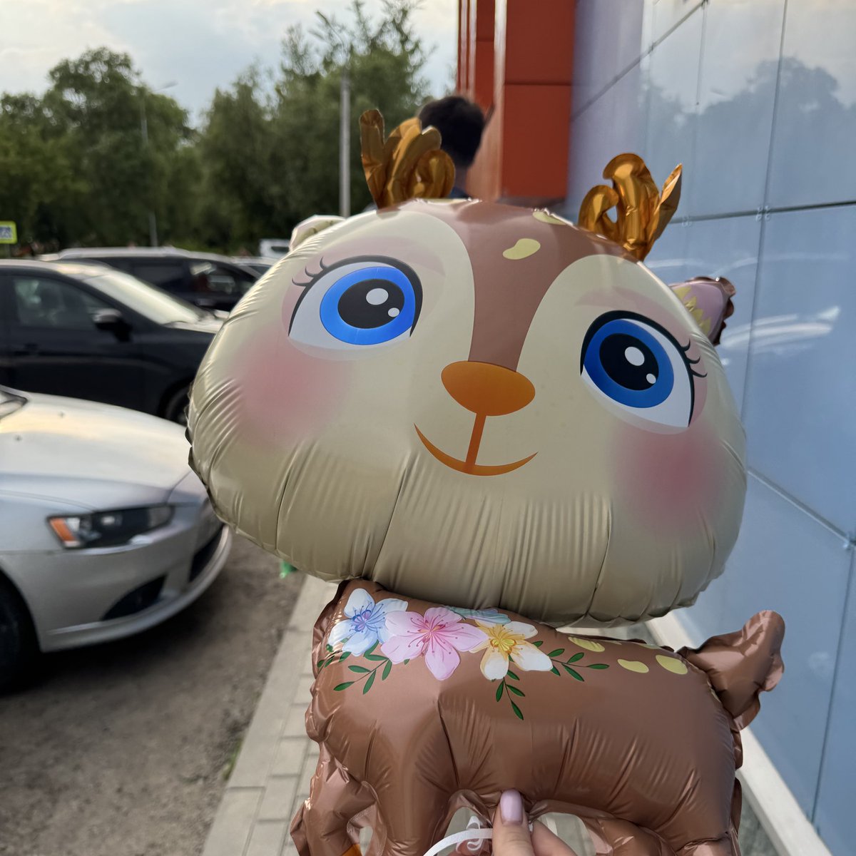 купили Лизке шарик!