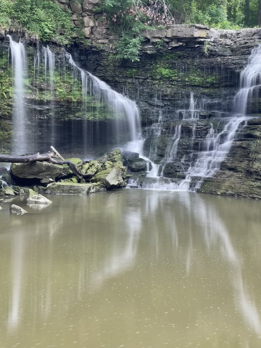 Joe Maurice tweet media