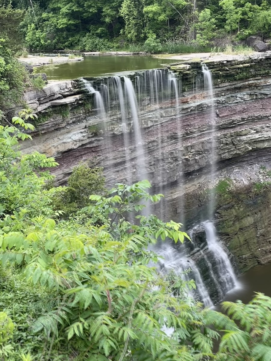 Joe Maurice tweet media