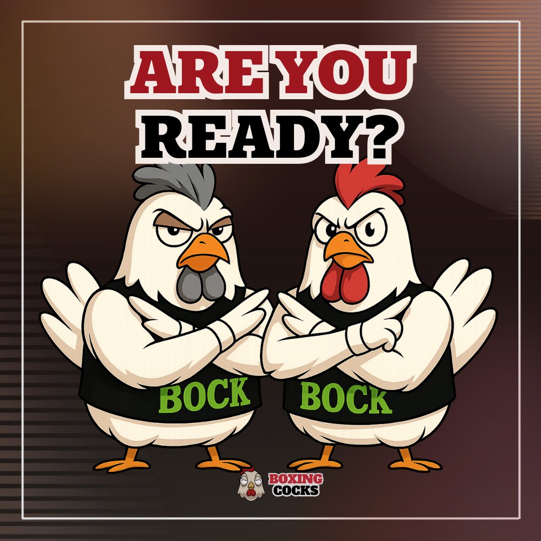 BoxingCocks's tweet photo. BOCK FAM, ARE YOU READY?! 

The moment you've been waiting for is almost here! The Boxing Cocks Backyard Game Night officially kicks off TOMORROW!

Get ready for some intense, feathered action streaming live from 6 PM - 9 PM GMT+8!

Match details will be dropped tomorrow, just before the stream goes live. So, join our Discord (link in profile) so you don't miss a single fight announcement and see who your BOCK will go head-to-head against!