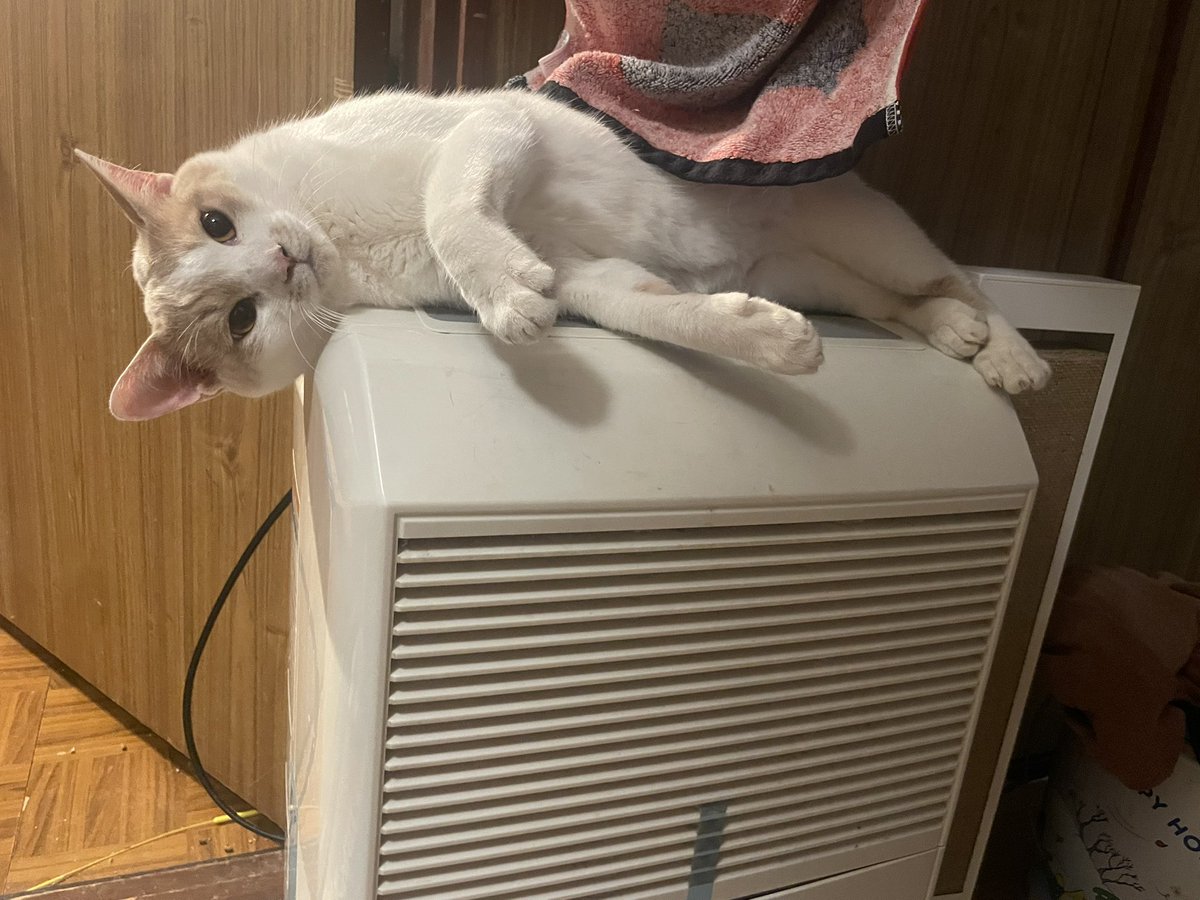 すごいとこおるやん笑