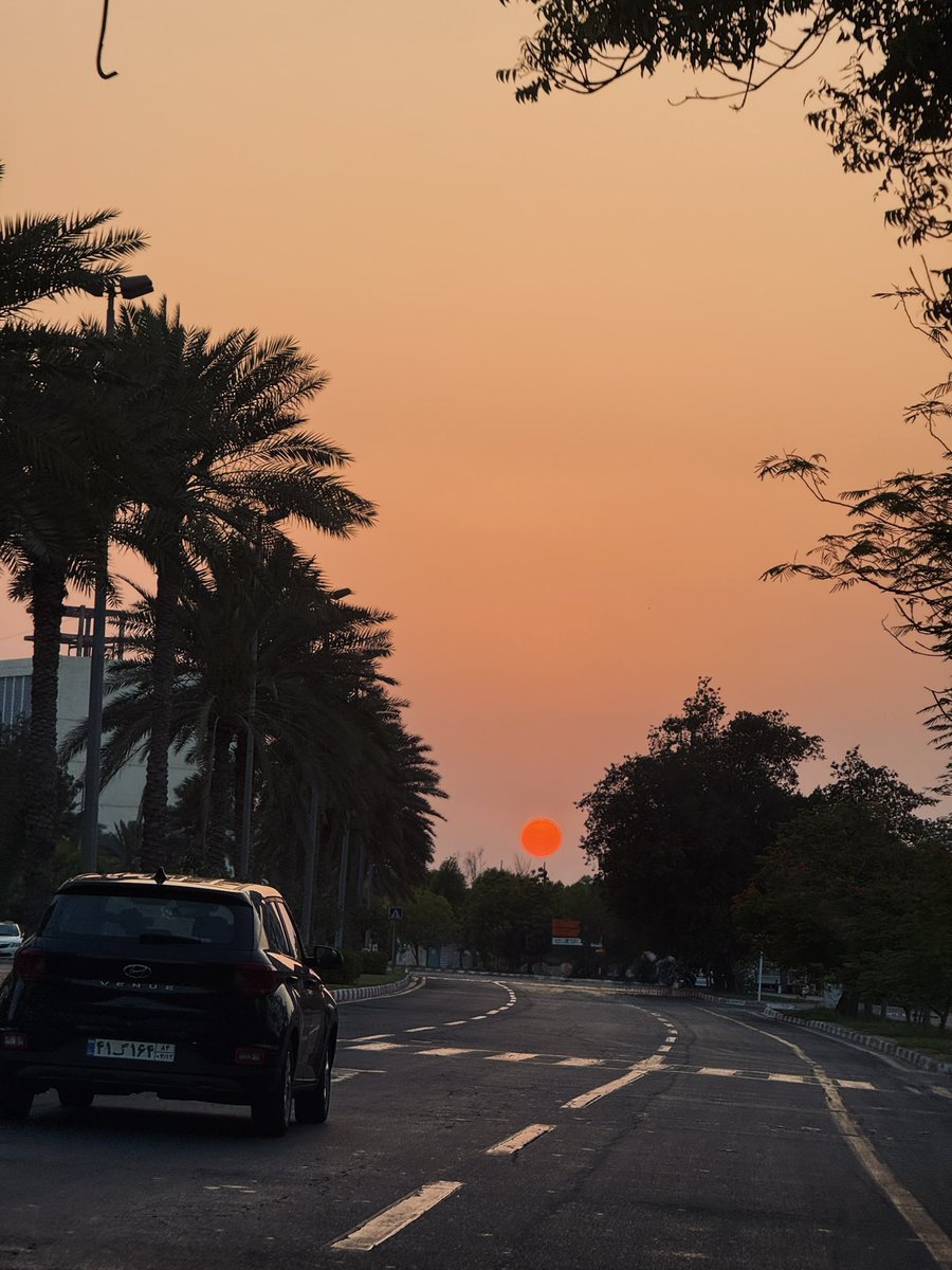 just36008786's tweet photo. در ستایش جنوب🥲🤎 https://t.co/Y0MsHAJqCF