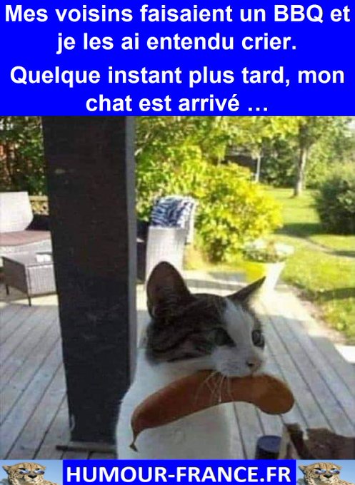text alternatif
