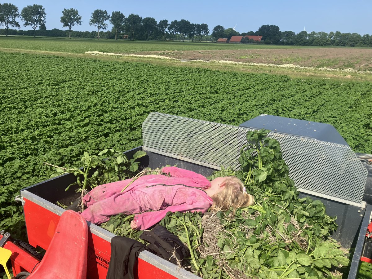 Dirk Jansen tweet media