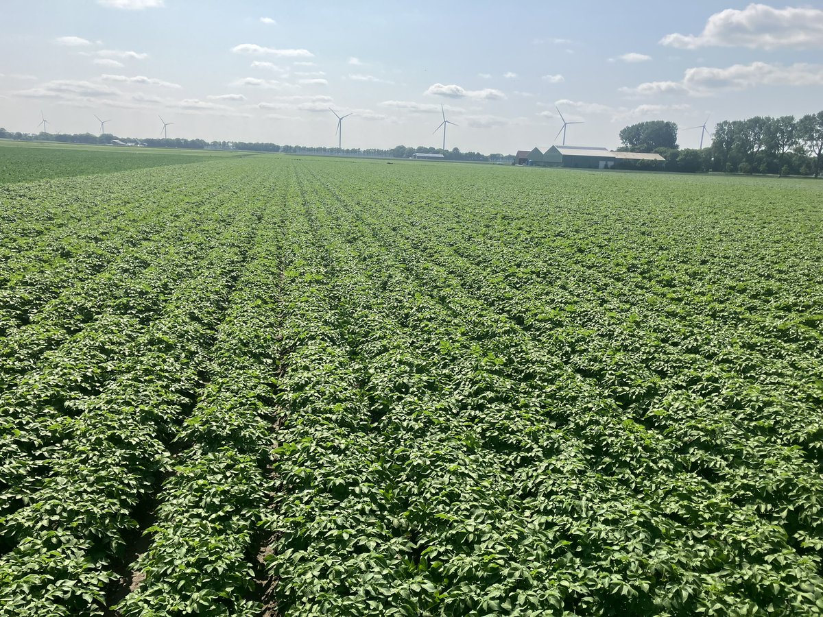 Dirk Jansen tweet media