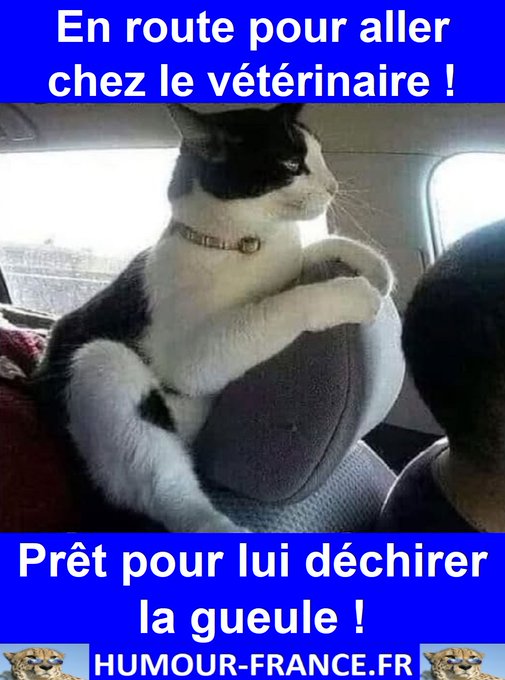 text alternatif