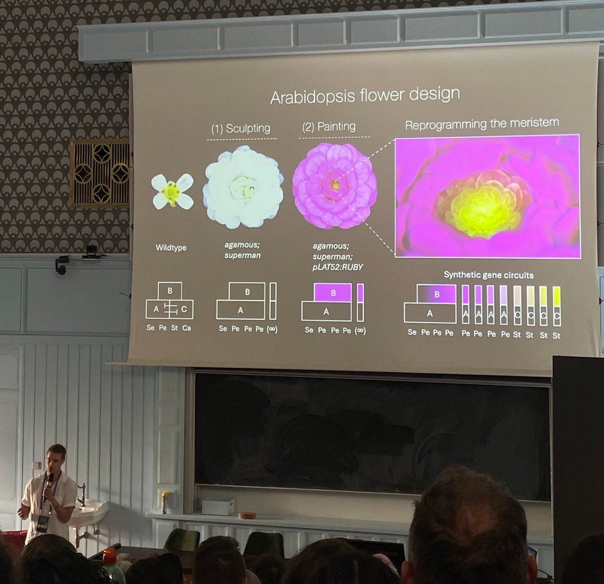 NickDesnoyer's tweet image. Presented my art project on flower genetic design to a room full of charismatic and brilliant scientists in Prague yesterday.
Life is cool 😎
#theconferencetoendallconferences
