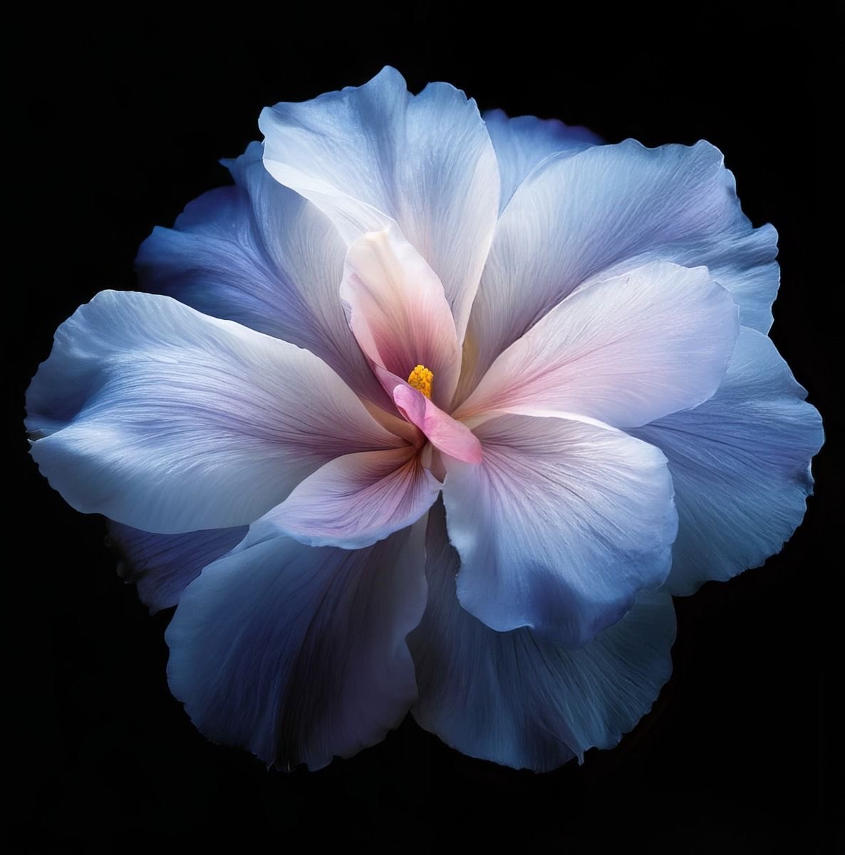 Lily ✮⋆˙ tweet media