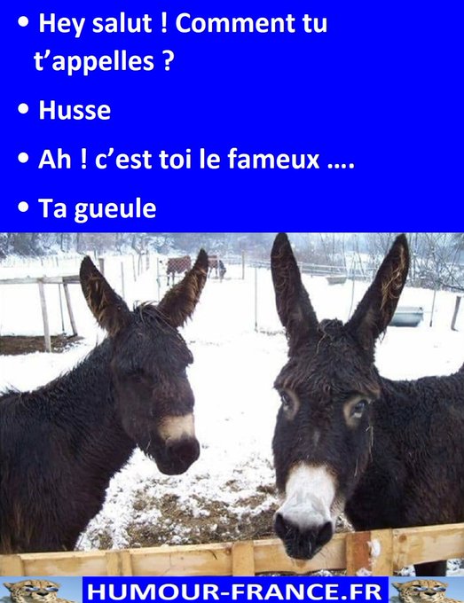 text alternatif