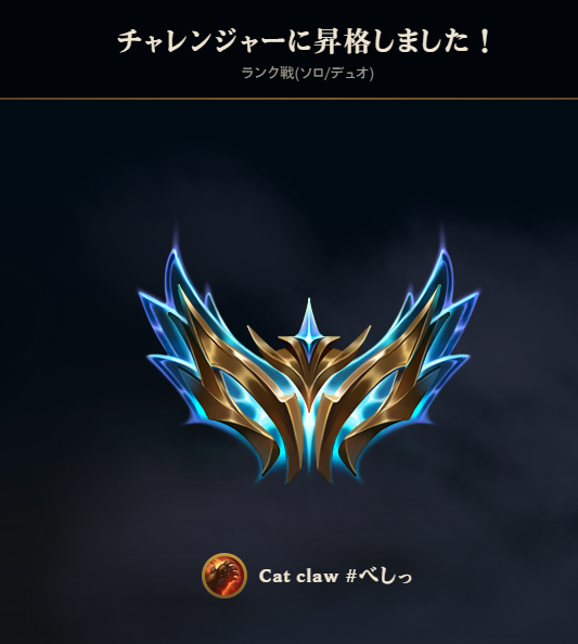 魚猫ZED🐟🐈 tweet media