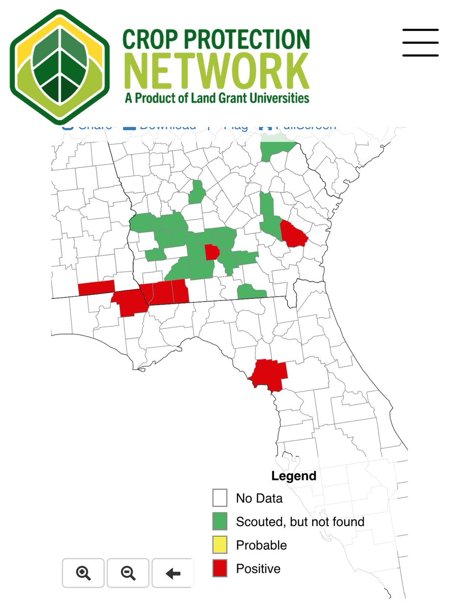 bobkemerait's tweet image. And just like that. Wayne Co in southeastern Georgia positive for southern corn rust. Thanks to John Beasley and his team for cooperation with Mark Frye UGA Extension