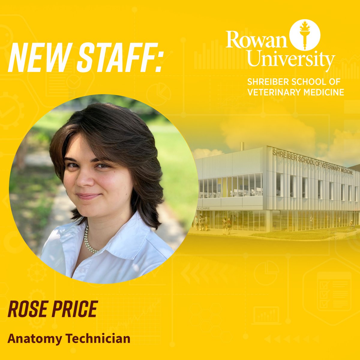 Meet the team: The Shreiber School of Veterinary Medicine of Rowan University welcomes Rose Price to its staff. Rose is the Anatomy Technician.