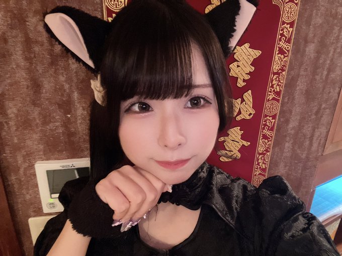 チャイニャコンカフェ桃猫堂 新宿歌舞伎町