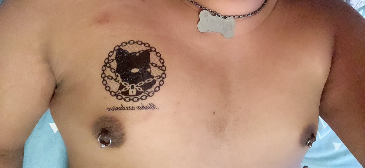 “ur not a puppy …”
“uhhh what do u mean,this is literally me”