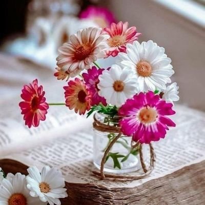 تُوِفُيّقَ2 (@t039tt2) on Twitter photo #قروبات_توفيق_للدعم
#بدايہ
<a href="/T039tt2/">تُوِفُيّقَ2</a>
633
<a href="/Tawfi_0/">جنون الحرف</a>
400
<a href="/tl00l0_1/">مِنِــيّر تُوِفُيّقَ</a>
700
<a href="/tl00l0_3/">الوطن الجريح</a>
641
<a href="/ECCTJ/">نـ♣︎ـوٌرٍ ♣𓋜</a>
190
<a href="/T039tt3/">تـــ فيق ـــو3</a>
147
<a href="/tl00l0_2/">حسام الضوراني</a>
333
<a href="/SAlfkee/">قيادة / الكـــــ 🌎 ـــــورة الأرضيّة /🔥🔥🔥🔥🔥</a>
333
<a href="/selma01912/">SELMA</a>
124
<a href="/AbwAshaq79918/">ابو إسحاق الخولاني</a>
920
<a href="/hashm_mhm/">محمد</a>
155
<a href="/qu44k222/">روح بدايه 750</a>
100
<a href="/smyrt33662/">سميرة الشمري</a>
844
<a href="/jiiiijp/">🪷رﭸيَقٌ آلُآيَمْآنْ🪷</a>
00 #قروبات_توفيق_للدعم
#بدايہ
<a href="/T039tt2/">تُوِفُيّقَ2</a>
633
<a href="/Tawfi_0/">جنون الحرف</a>
400
<a href="/tl00l0_1/">مِنِــيّر تُوِفُيّقَ</a>
700
<a href="/tl00l0_3/">الوطن الجريح</a>
641
<a href="/ECCTJ/">نـ♣︎ـوٌرٍ ♣𓋜</a>
190
<a href="/T039tt3/">تـــ فيق ـــو3</a>
147
<a href="/tl00l0_2/">حسام الضوراني</a>
333
<a href="/SAlfkee/">قيادة / الكـــــ 🌎 ـــــورة الأرضيّة /🔥🔥🔥🔥🔥</a>
333
<a href="/selma01912/">SELMA</a>
124
<a href="/AbwAshaq79918/">ابو إسحاق الخولاني</a>
920
<a href="/hashm_mhm/">محمد</a>
155
<a href="/qu44k222/">روح بدايه 750</a>
100
<a href="/smyrt33662/">سميرة الشمري</a>
844
<a href="/jiiiijp/">🪷رﭸيَقٌ آلُآيَمْآنْ🪷</a>
00