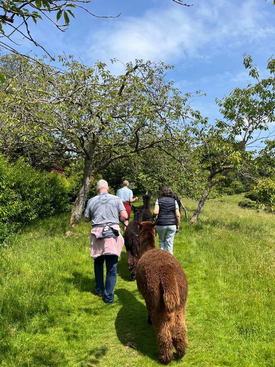 Devin Scobie (@devin_scobie) on Twitter photo Thanks to <a href="/alpacaly/">Alpacaly Ever After</a> for looking after us so well yesterday - a very different day out with some very special new friends (and special thank to <a href="/JoAllenAuthor/">Jo Allen Author</a> for helping make it possible) - and, no, you can’t take them home! 5 star recommendation Thanks to <a href="/alpacaly/">Alpacaly Ever After</a> for looking after us so well yesterday - a very different day out with some very special new friends (and special thank to <a href="/JoAllenAuthor/">Jo Allen Author</a> for helping make it possible) - and, no, you can’t take them home! 5 star recommendation