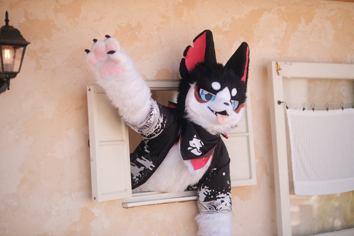 #FursuitFriday 
#Fursuit
아니 그러니까 엉덩이가 껴서 여기로는 못 나간다고!!