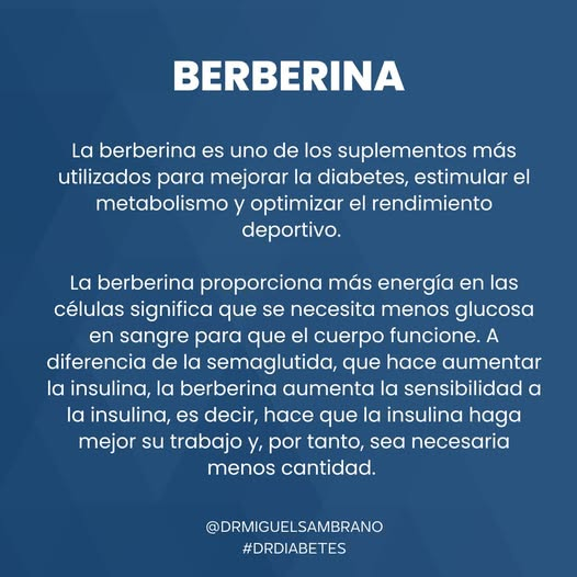De los pocos médicos que creen en la reversión de la diabetes.