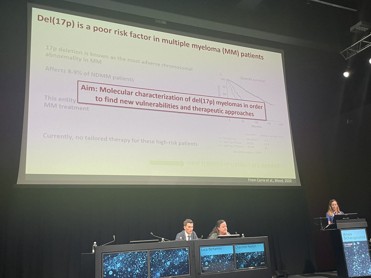 Tommaso Perini tweet media