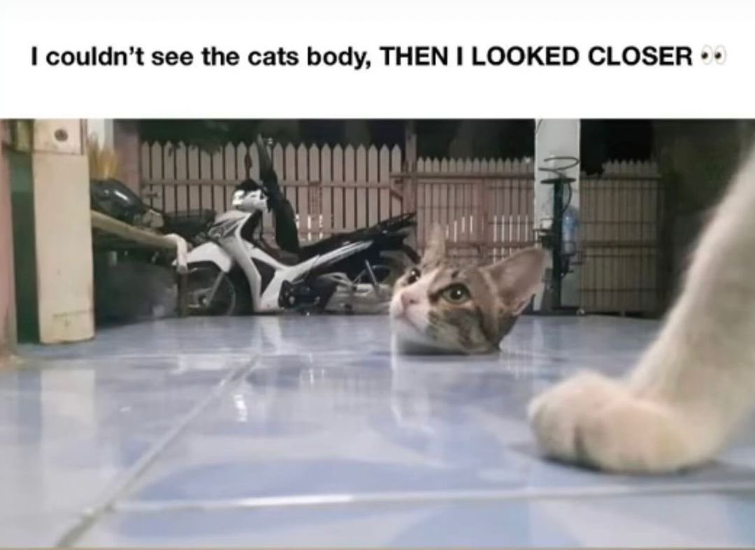 jaden (@liljay11k) on Twitter photo 