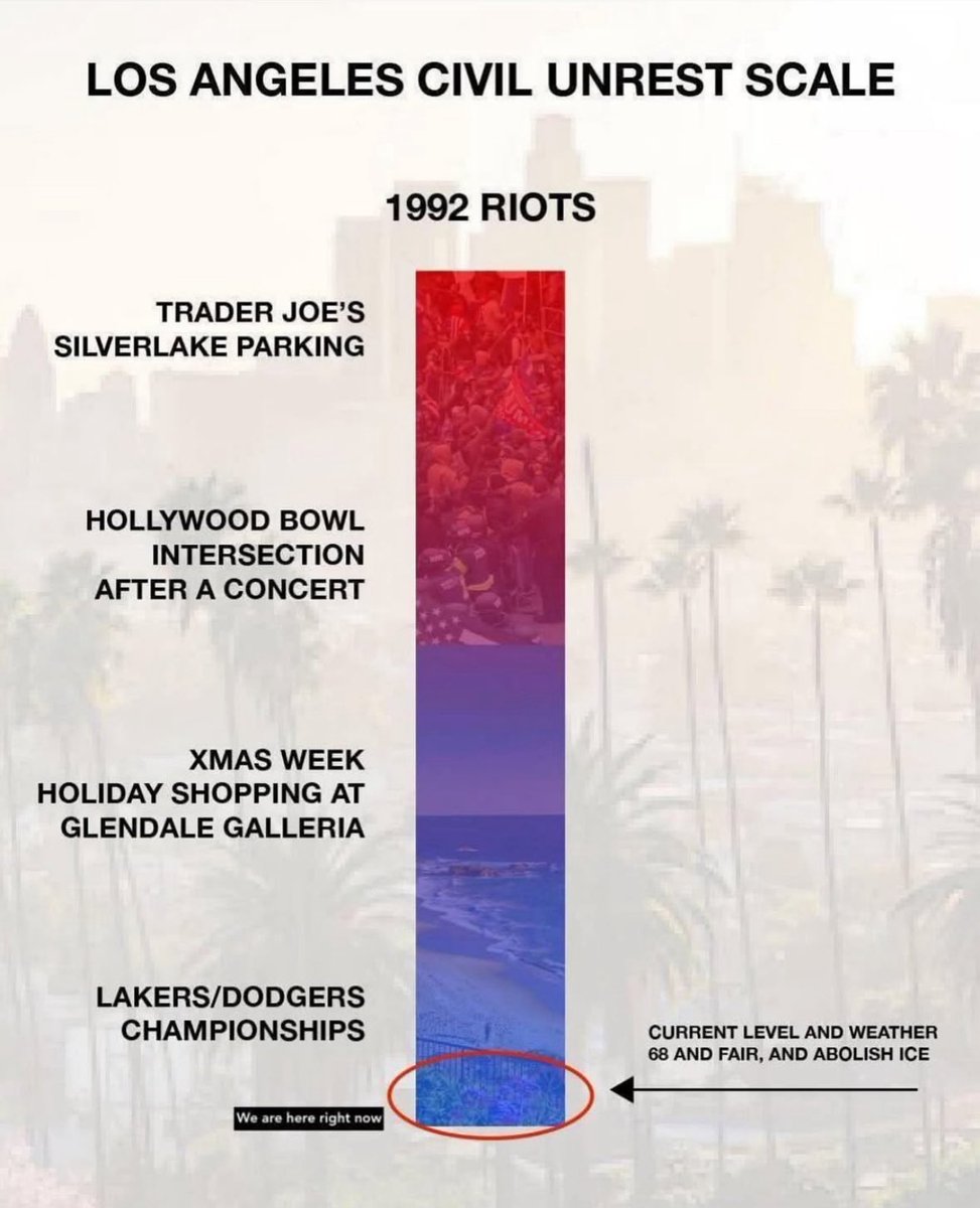 Jill Condon (@jilldcondon) on Twitter photo 