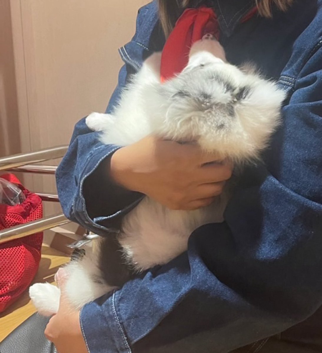 ชลก✴️ tweet media