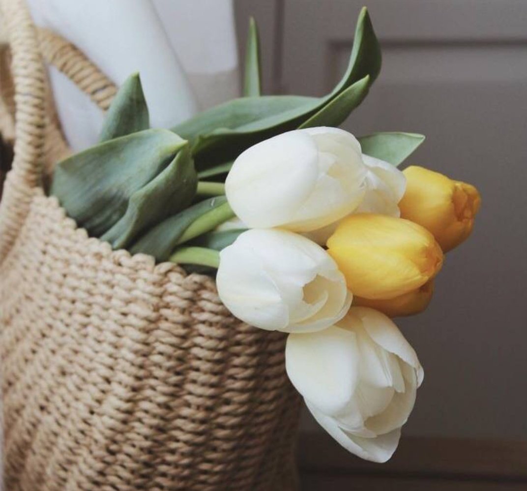 نحنُ بخير لأننا لا نفكر في أحد 
       ولا نتحدث عن أحد 
ولا نتدخل في حياة أحد 
ولا نبحث عن سقوط أحد