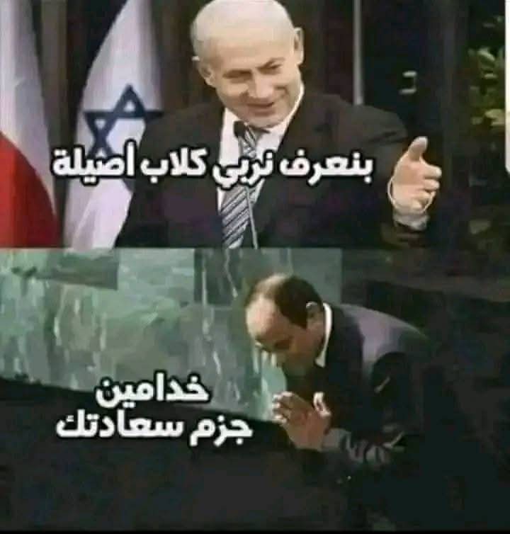 Mayouta (@maya33537744) on Twitter photo 