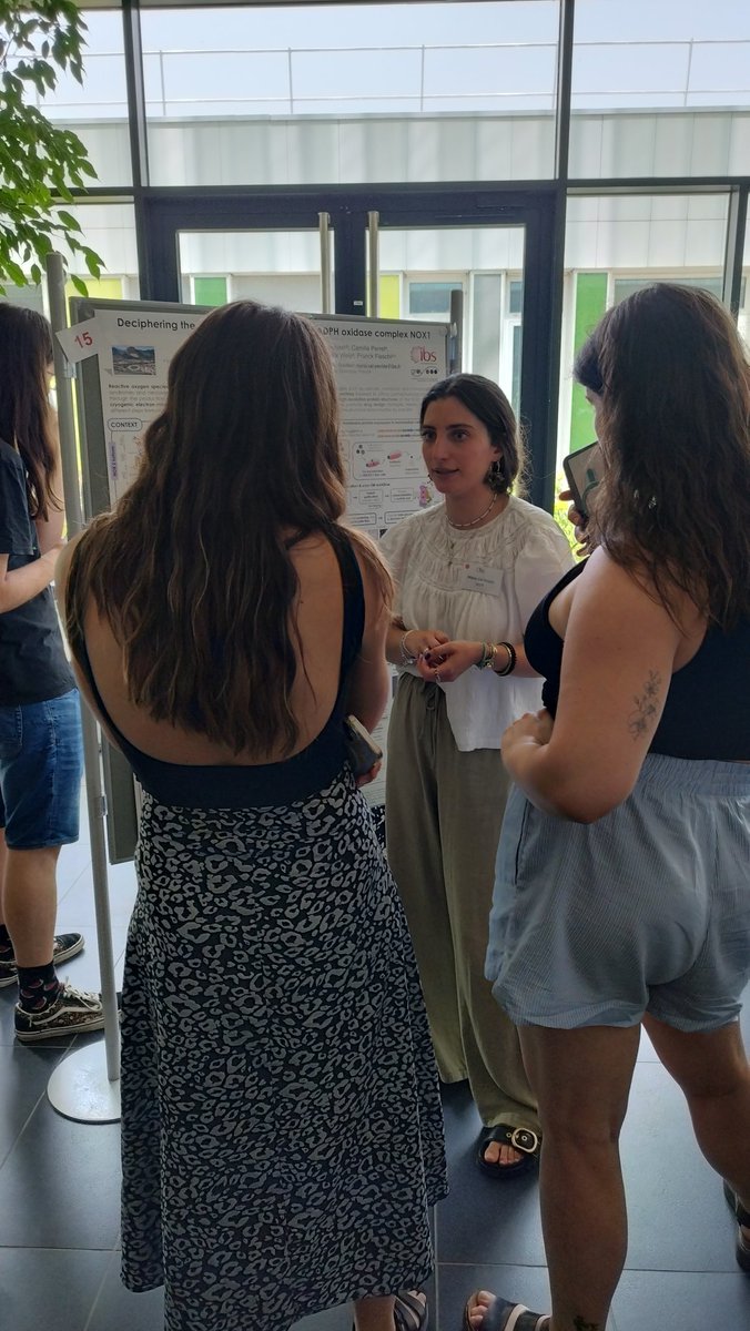 Institut de Biologie Structurale (@ibs_grenoble) on Twitter photo #Thread: The flash/poster Prize was awarded to Maria Val Pevida (M&P group <a href="/IBS_Grenoble/">Institut de Biologie Structurale</a>) who is seeking to decipher the molecular mechanism of activation of NADPH oxidase complex NOX1 by cryogenic electron microscopy. #Thread: The flash/poster Prize was awarded to Maria Val Pevida (M&P group <a href="/IBS_Grenoble/">Institut de Biologie Structurale</a>) who is seeking to decipher the molecular mechanism of activation of NADPH oxidase complex NOX1 by cryogenic electron microscopy.