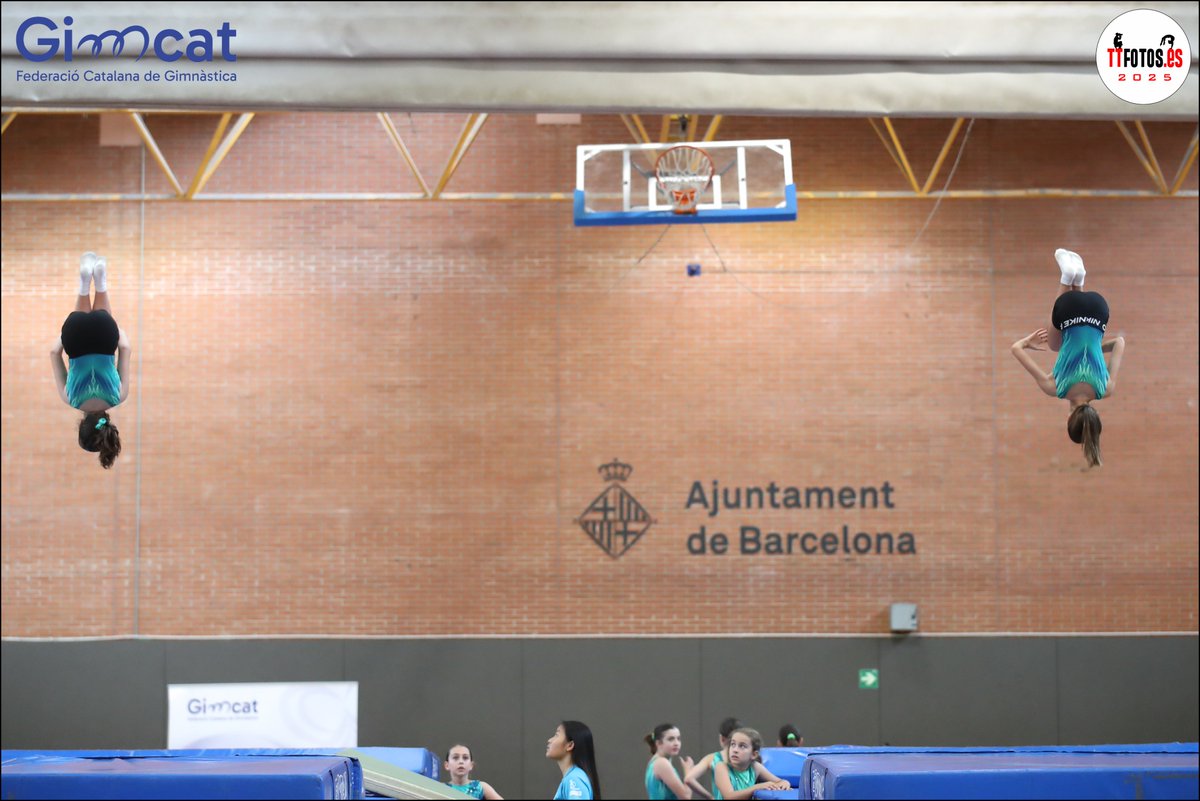 Federació Catalana de Gimnàstica (@gimcatfcg) on Twitter photo 📸 𝗙𝗢𝗧𝗢𝗚𝗥𝗔𝗙𝗜𝗘𝗦 | Ja han sortit del forn les fotografies del Campionat de Catalunya de #TRA!
Gràcies al <a href="/ASMEtrampoli/">ASME Trampolí</a> i a l'Ajuntament de Barcelona per la seva col•laboració! 👏🏻
#GimcatFCG 📸 𝗙𝗢𝗧𝗢𝗚𝗥𝗔𝗙𝗜𝗘𝗦 | Ja han sortit del forn les fotografies del Campionat de Catalunya de #TRA!
Gràcies al <a href="/ASMEtrampoli/">ASME Trampolí</a> i a l'Ajuntament de Barcelona per la seva col•laboració! 👏🏻
#GimcatFCG