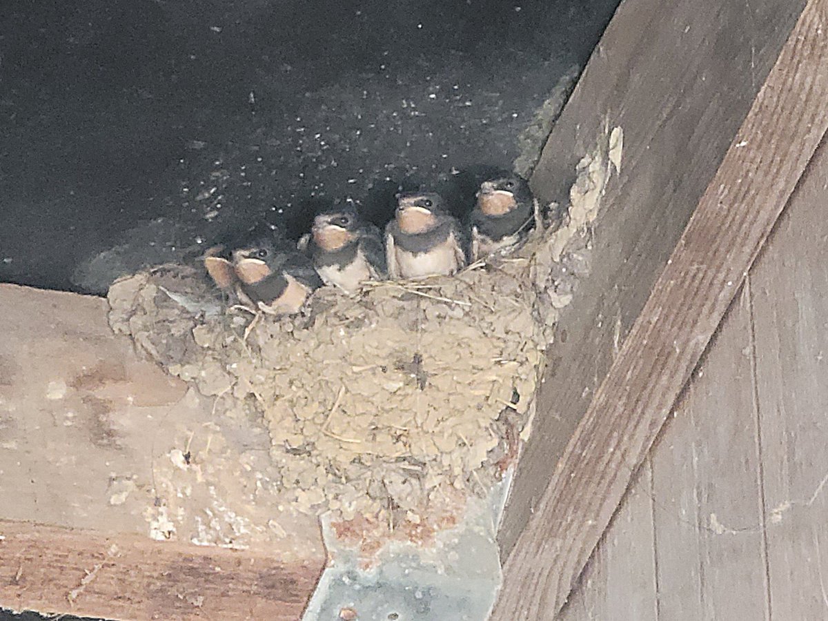 J'ai l'impression d'être jugée 👀