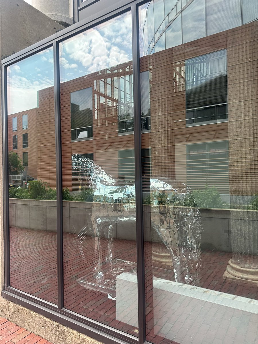 oathbound1739's tweet image. Apparently Reneigh is in residence at Harvard when not touring with Beyoncé