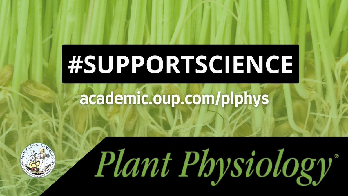 Plant Physiology (@plantphys) on Twitter photo 📢 When you publish in Plant Physiology, you're doing more than sharing research—you’re strengthening the plant science community.
🌿 Published by a nonprofit.
🌿 Supporting the next generation of scientists.
🌿 Advancing discovery.
#PlantScience #SciComm <a href="/ASPB/">ASPB</a> 📢 When you publish in Plant Physiology, you're doing more than sharing research—you’re strengthening the plant science community.
🌿 Published by a nonprofit.
🌿 Supporting the next generation of scientists.
🌿 Advancing discovery.
#PlantScience #SciComm <a href="/ASPB/">ASPB</a>