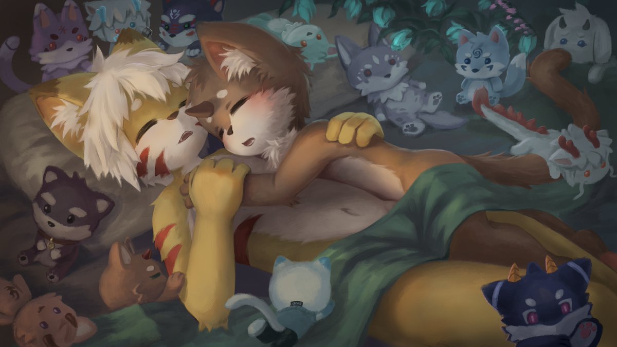 MSS_13Cat tweet picture