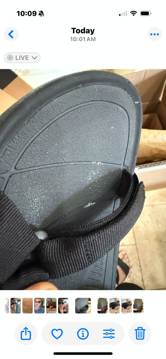 April Proveaux tweet media