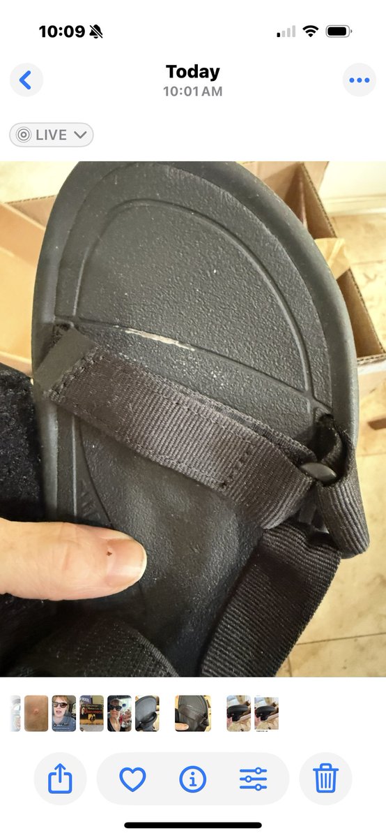 April Proveaux tweet media