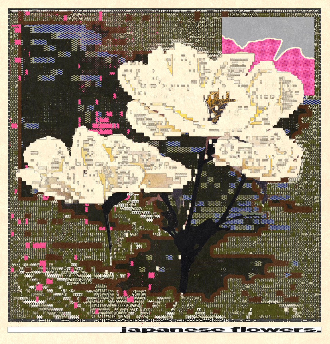 enigmatriz (@enigmatriz) on Twitter photo 