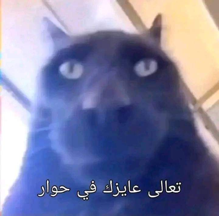 كتاب الأطفال اللي مستنيك: