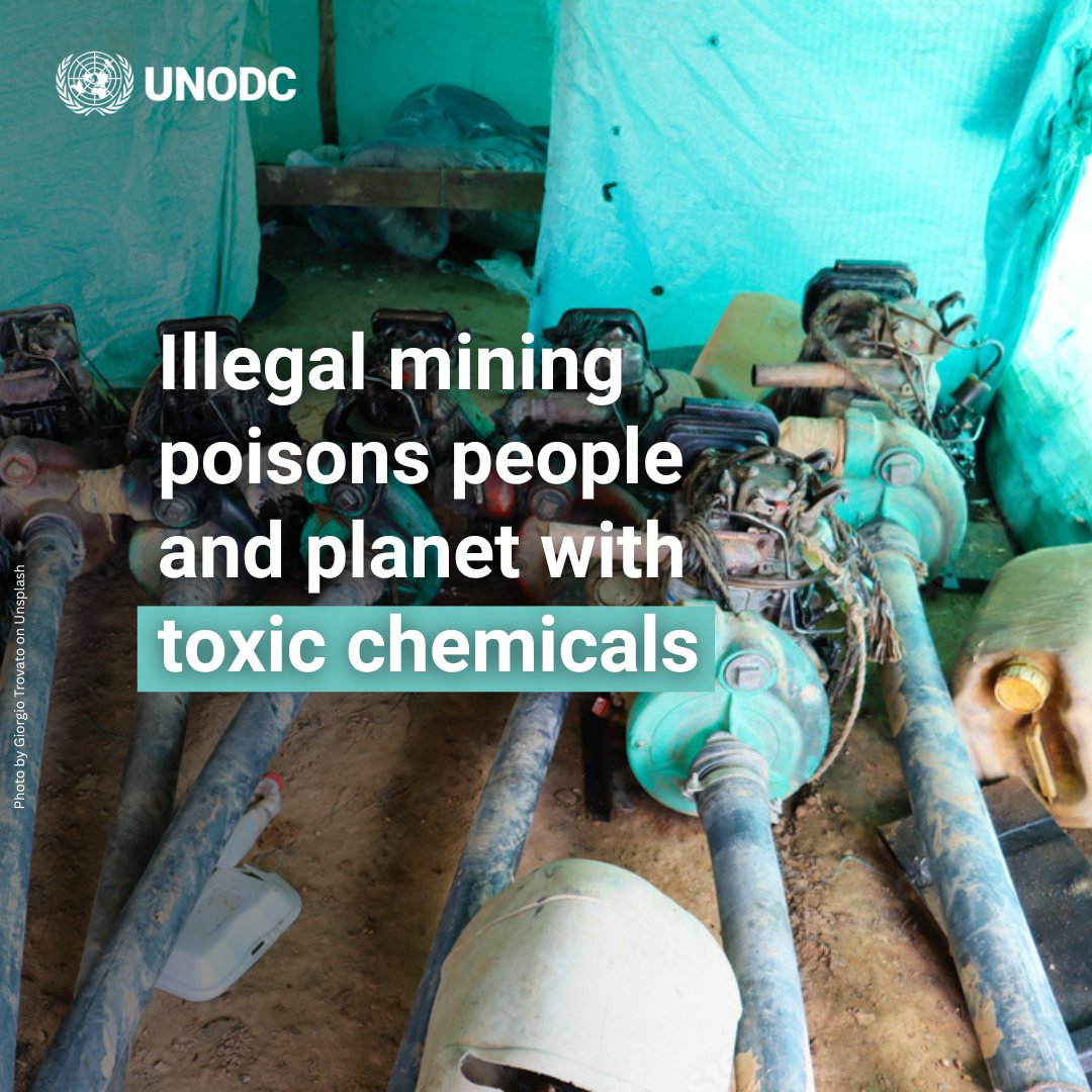 Mercury use in artisanal gold mining poisons water and soil.

The damage to ecosystems and local communities’ health is often irreversible.

Tracing and monitoring hazardous chemicals in mining can help reduce these risks.

bit.ly/43wdTNk
#endENVcrime