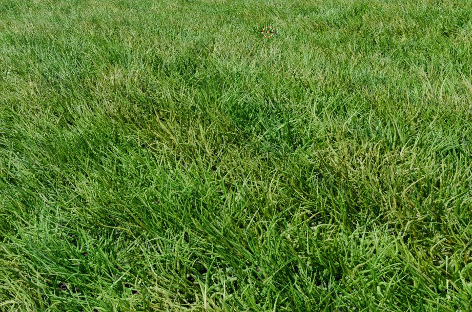 Made grass in blender, not sure why though