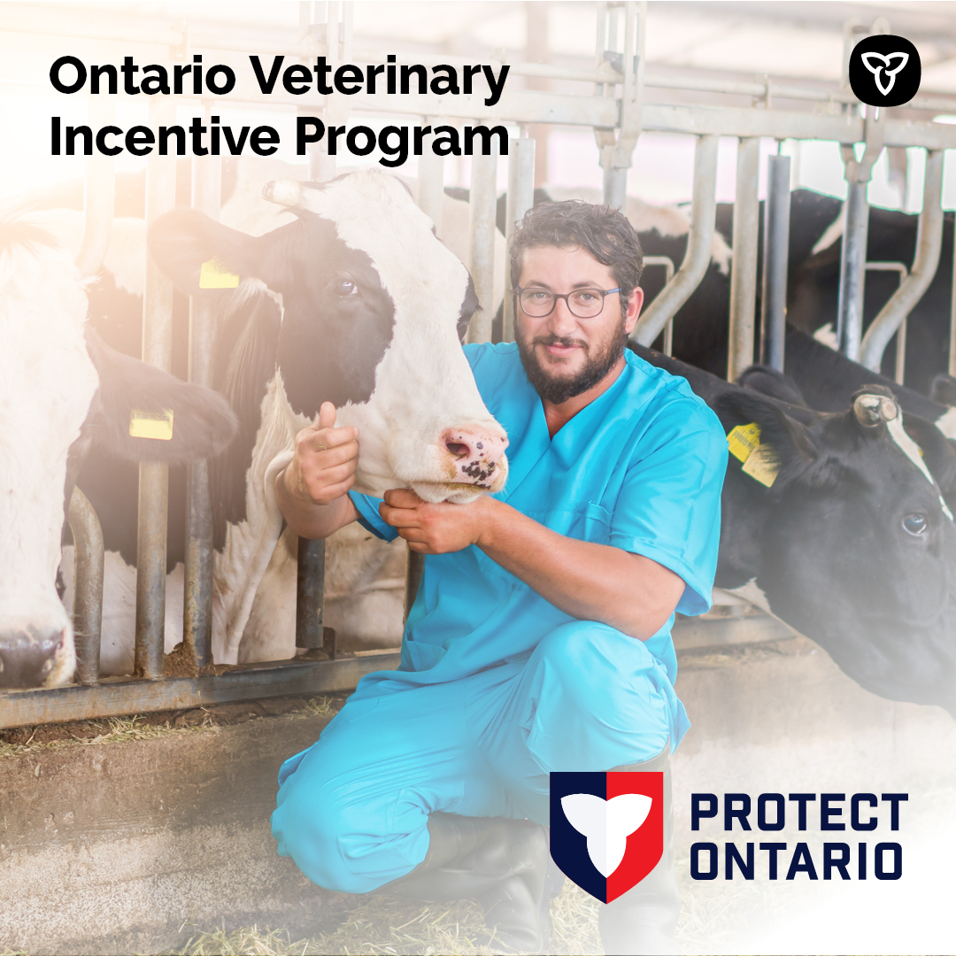 Ontario communities are benefitting from the Veterinary Incentive Program! Newly licensed veterinarians can receive grants for practicing on livestock and poultry in underserviced areas!
Info: adaptcouncil.org/program/vip
#OntAg