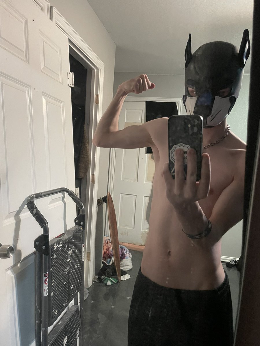 🦈Pup Cloudy☁️🔜TFF tweet media